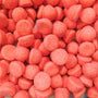 Tagada 100g